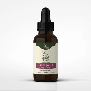 Pelargonia afrykańska wyciąg ziołowy Magiczny Ogród 50 ml suplement diety