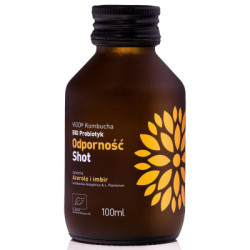 Kombucha Shot ODPORNOŚĆ bezglutenowy BIO 100 ml - Vigo Yoko
