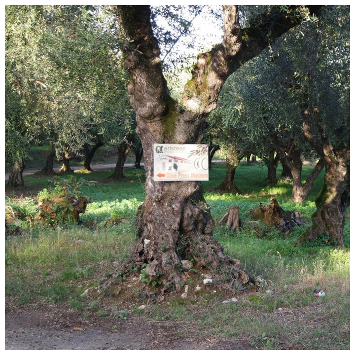 Oliwa z oliwek EXTRA VIRGIN AGRIELIA z dzikich drzew – 250 ml Grecja Zakynthos Na czczo
