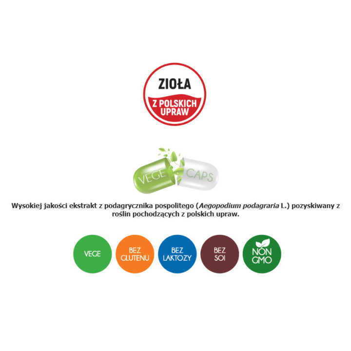 Podagrycznik (ekstrakt) w kapsułkach wegańskich 100 kapsułek suplement diety - Aliness
