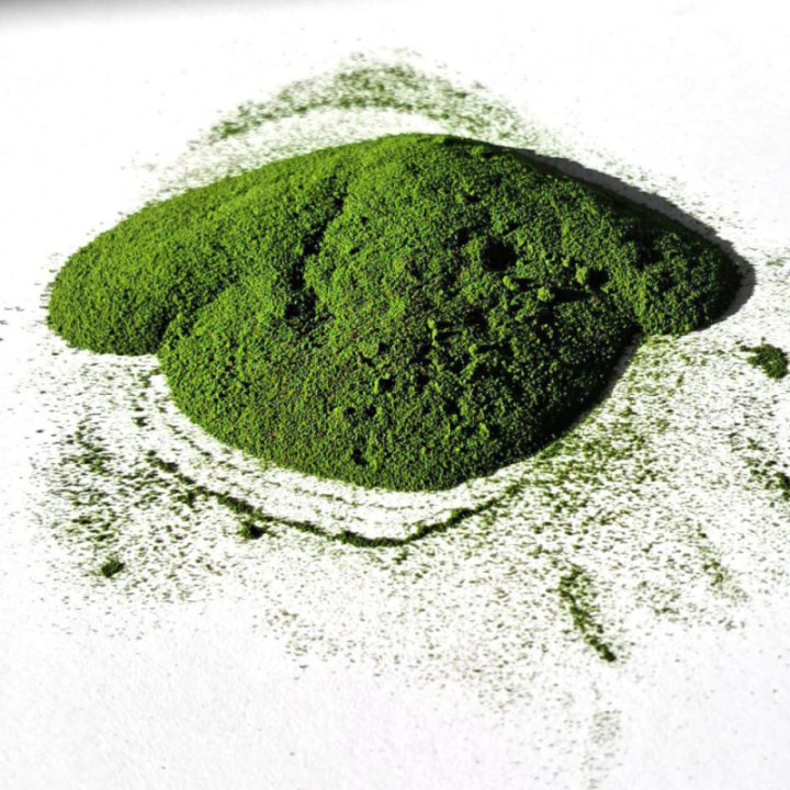 BIO Chlorella + BIO Młody Jęczmień – Ekologiczny Zestaw z GRATISAMI
