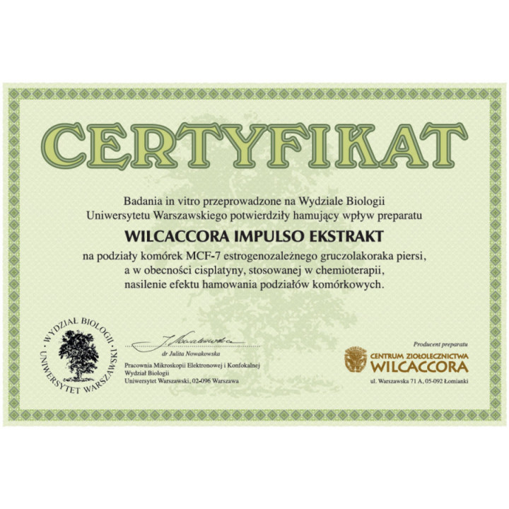 WILCACCORA (koci pazur) impulso extract 120 kapsułek suplement diety