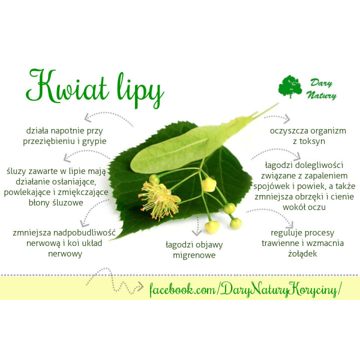 BIO Kwiat Lipy – Naturalna Herbata na Przeziębienie i Spokój