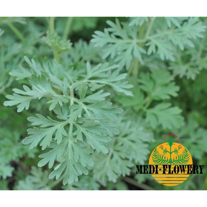 Ekstrakt z piołunu Medi Flowery - suplement diety 15 ml