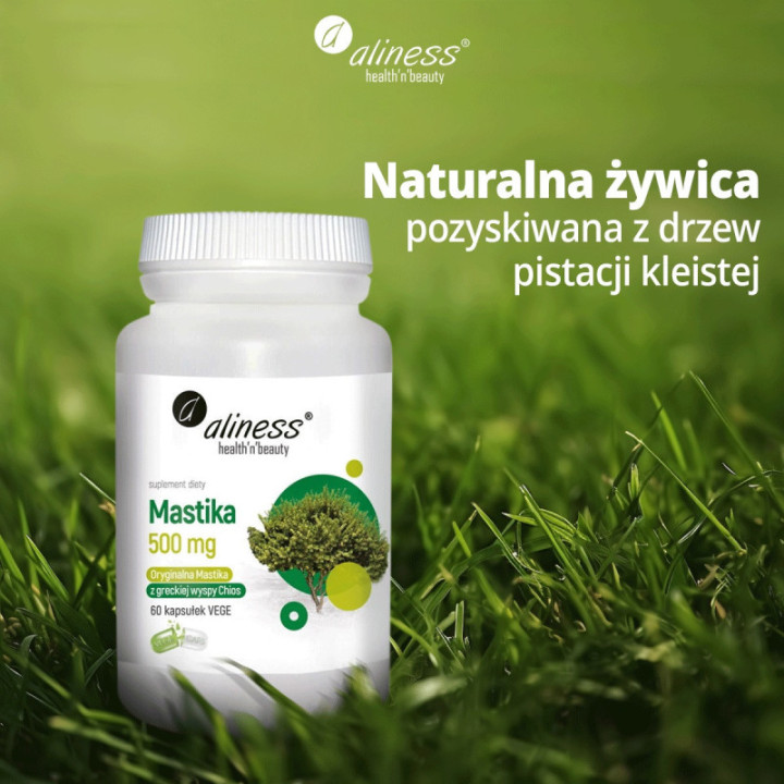 Mastika 500 mg 60 kaps. – żywica Pistacia lentiscus z wyspy Chios Aliness