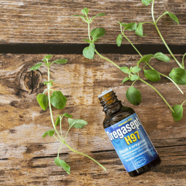 Oregasept H97 olejek z oregano Asepta 10 ml suplement diety