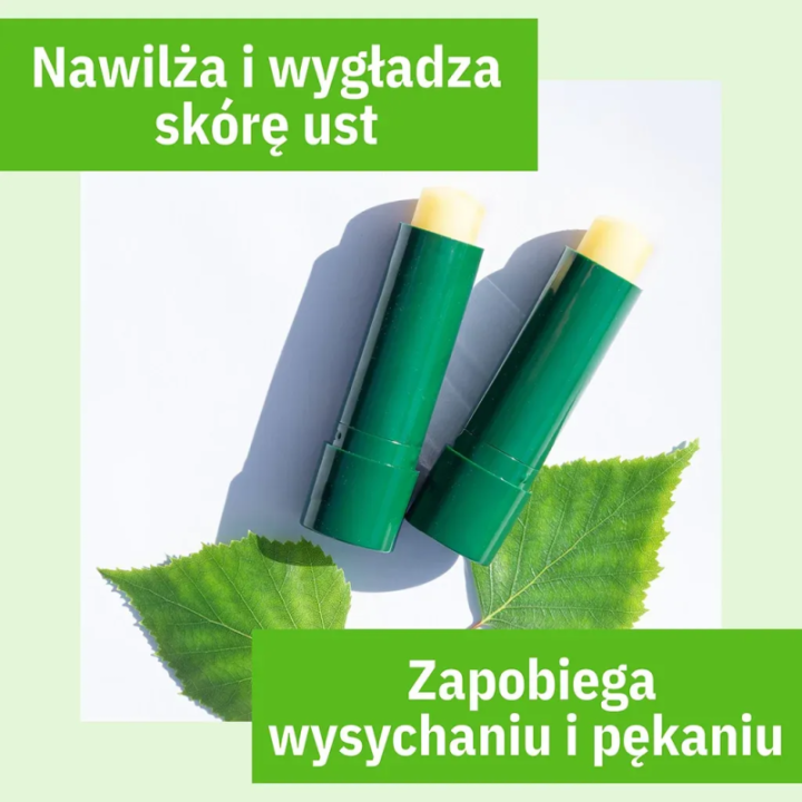 Brzozowa pomadka ochronna z betuliną do ust - Sylveco 4,6 g