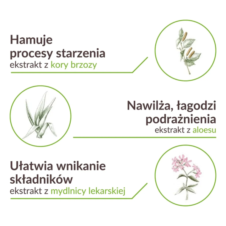 Sylveco lekki krem brzozowy hipoalergiczny 50 ml