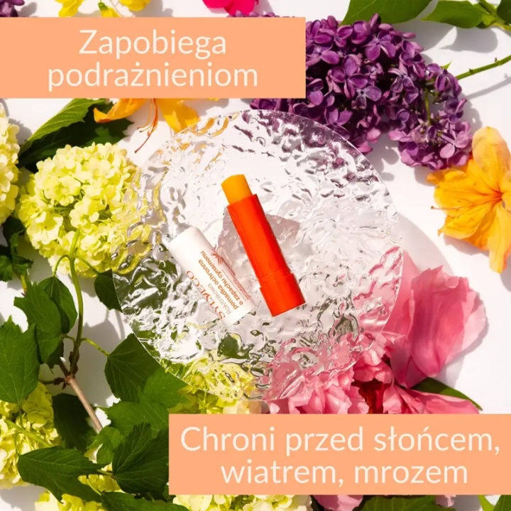 Pomadka ochronna do ust rokitnikowa o zapachu cynamonu Sylveco 4,4 g