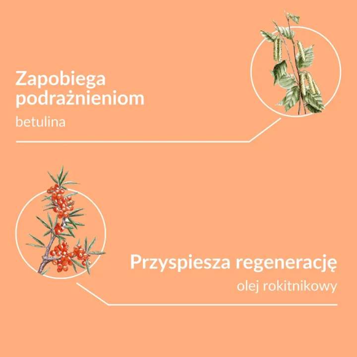 Pomadka ochronna do ust rokitnikowa o zapachu cynamonu Sylveco 4,4 g
