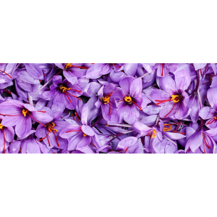 Saffron (szafran i soplówka jeżowata) 60 kapsułek - Organic Life
