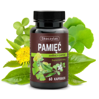 PAMIĘĆ – Miłorząb, Bakopa, Różeniec i L-teanina | Koncentracja