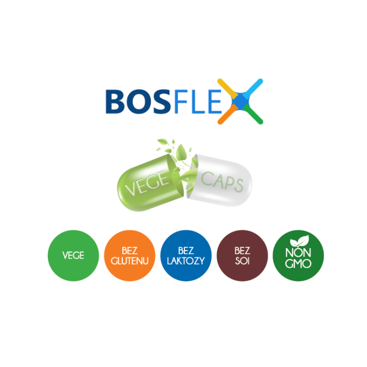 Boswellia 350 mg Aliness BosFlex® – wsparcie stawów