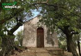 Oliwa Aristeon Dopia – najlepsza oliwa z najstarszych drzew na Zakynthos